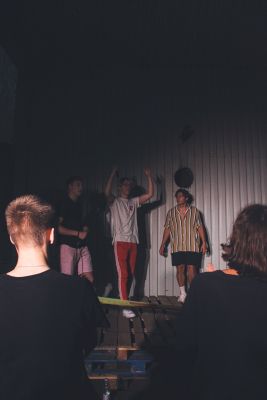 Pusės Dainos Festivalis
